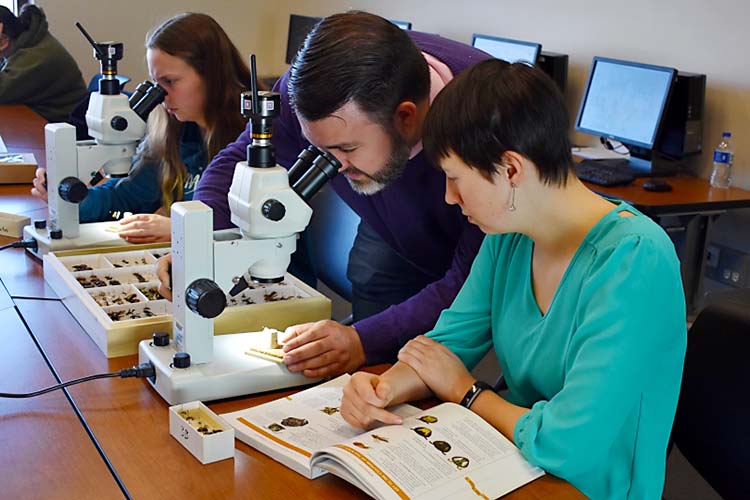 Bee inventory research project with Isaac Stewart and BHC biology students (2020)